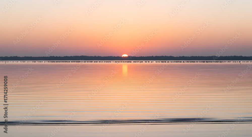 Obraz premium Sunrise to Seascape: Dramatic Coastal Sunrises, Palm Island, River Valleys, and Serene Beaches