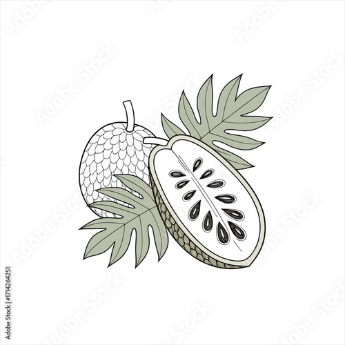 Illustration of a whole and halved custard apple with leaves