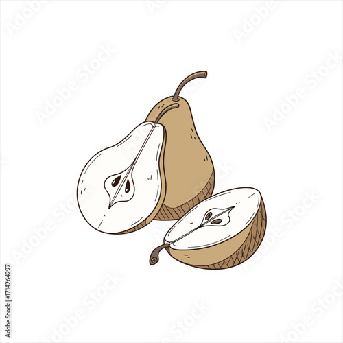 Hand drawn illustration of a whole pear and two halves on a white background