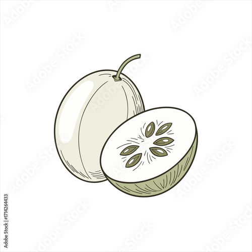 Illustration of a whole and a halved cucumber with seeds