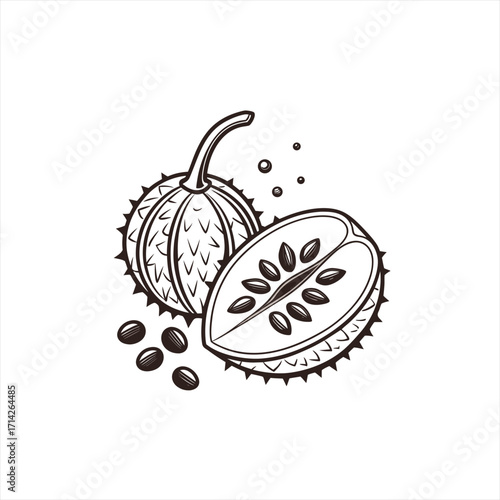 Kiwano fruit illustration whole and halved with seeds