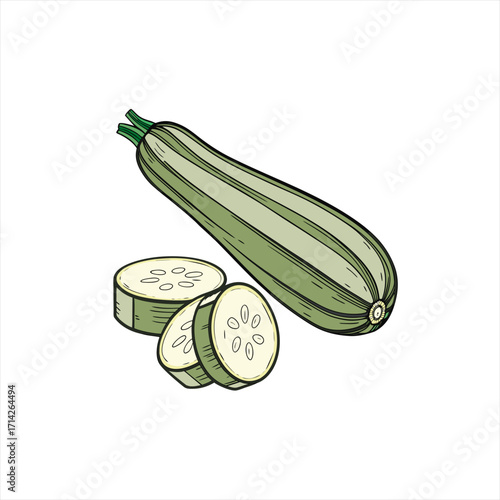 Illustration of a whole zucchini and sliced zucchini on a white background