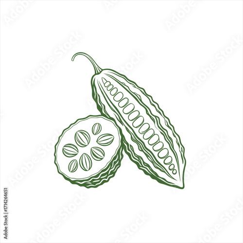 Bitter melon vegetable illustration with seeds and slice