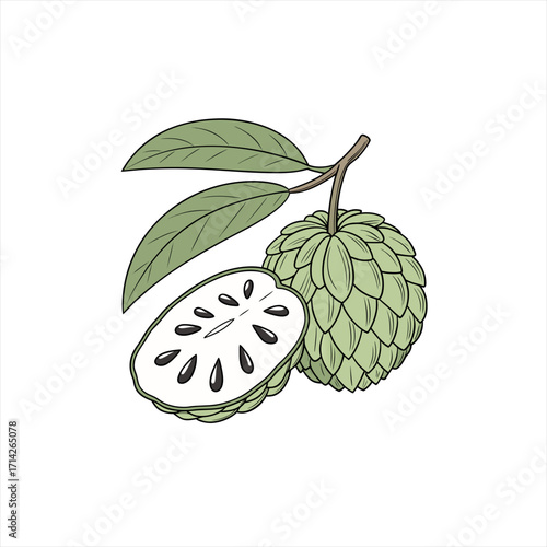 Custard apple fruit with leaves and slice showing seeds