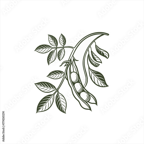 Stylized illustration of a pea pod with leaves and seeds