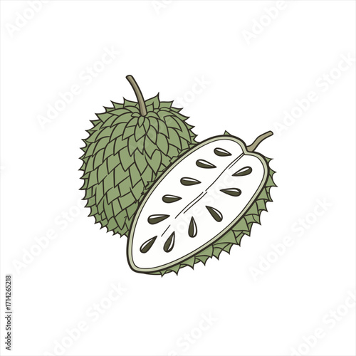 Illustration of a whole soursop fruit and a half soursop fruit with seeds