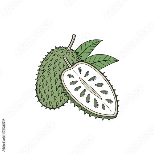 Illustration of a whole soursop fruit and a half soursop fruit with leaves