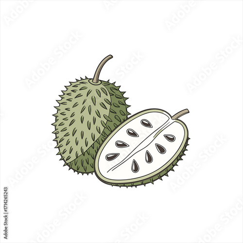Illustration of a whole soursop fruit and a halved soursop fruit with seeds