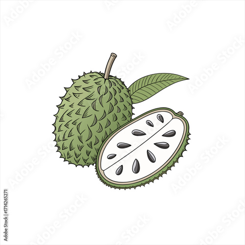Illustration of a whole soursop fruit and a halved soursop fruit with seeds