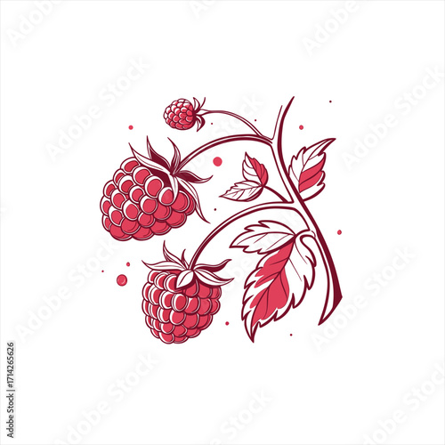 Stylized illustration of ripe raspberries on a branch with leaves
