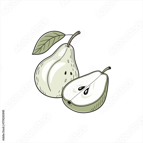 Hand drawn illustration of a whole pear and a halved pear with a leaf