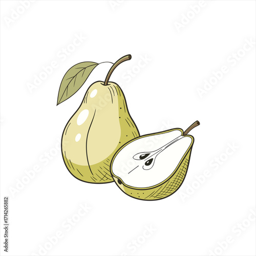 Hand drawn illustration of a whole pear and a halved pear with a leaf
