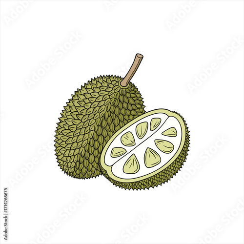 Whole durian fruit and a half cut showing seeds and flesh