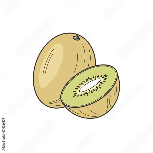 Illustration of a whole kiwi fruit and a sliced kiwi fruit