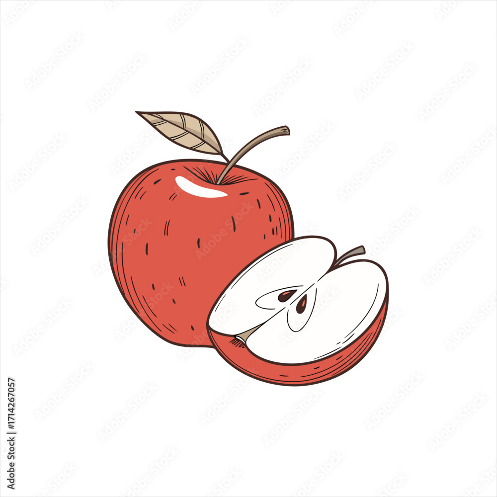 Obraz premium Hand drawn illustration of a whole red apple with a leaf and a halved apple showing seeds