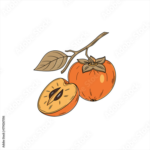 Illustration of a ripe persimmon fruit and a halved persimmon with seeds