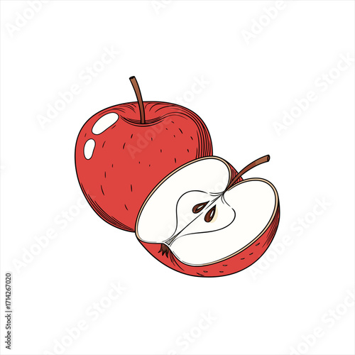 Red apple and half apple illustration