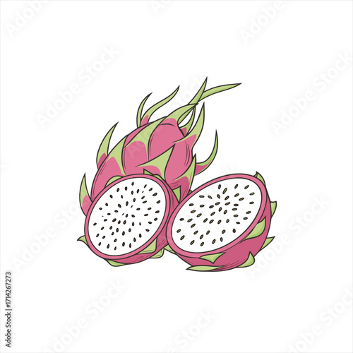 Illustration of a whole and halved pink dragon fruit on a white background
