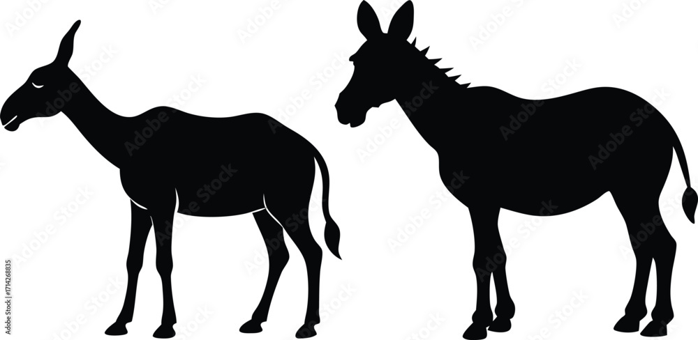 Fototapeta premium Donkey & camel silhouettes silhouette vector illustration