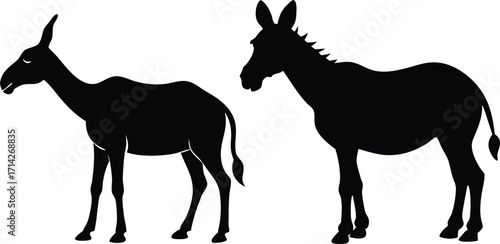 Donkey & camel silhouettes silhouette vector illustration