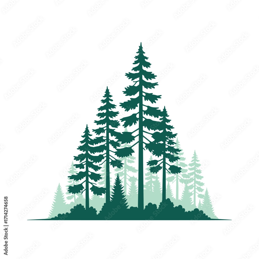 Obraz premium Silhouette of a forest of evergreen trees against a white background.