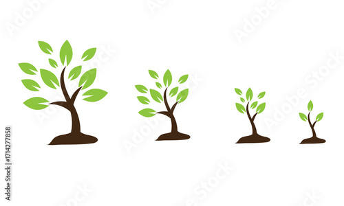 Plant growth stages in flower pots illustration. Four potted plants showing different growth stages, symbolizing development, progress, evolution, and natural growth over time.
