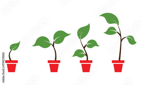 Plant growth stages in flower pots illustration. Four potted plants showing different growth stages, symbolizing development, progress, evolution, and natural growth over time.
