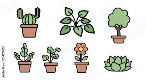Collection of Potted Houseplants and Decorative Flora.