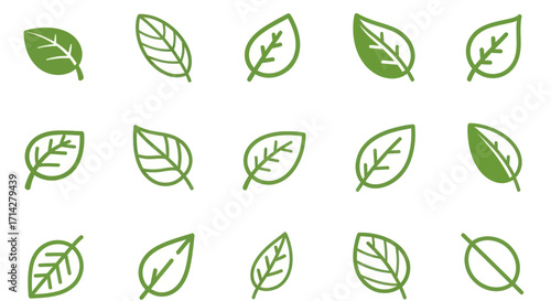 Collection of stylized green leaf icons with vein details.