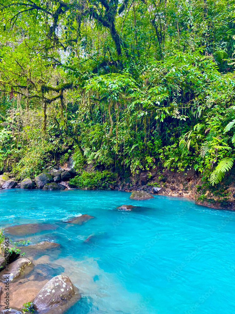 Naklejka premium Turquoise waters of Rio Celeste flowing between rocks and dense green rainforest vegetation in Costa Rica.