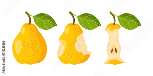Three yellow pears. whole, partially eaten, and core. Trendy flat style. For healthy eating, dieting, recipe blogs, eco friendly branding, social media, stickers, menus, posters, and children's books.