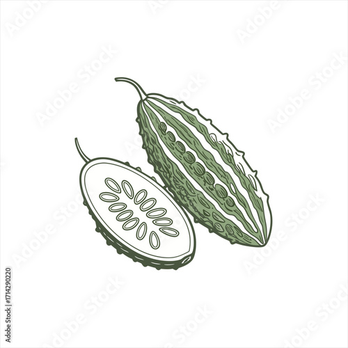 Illustration of a whole and sliced bitter melon on a white background