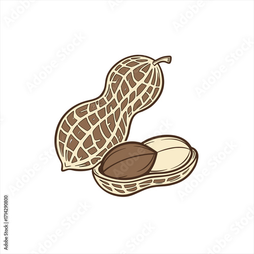 Illustration of a peanut shell with two peanuts inside and another peanut shell beside it