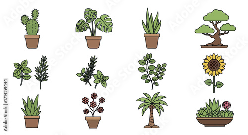 Diverse collection of potted plant illustrations and botanical elements.