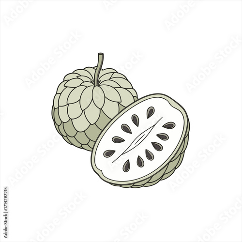 Illustration of a whole custard apple and a cut custard apple showing seeds