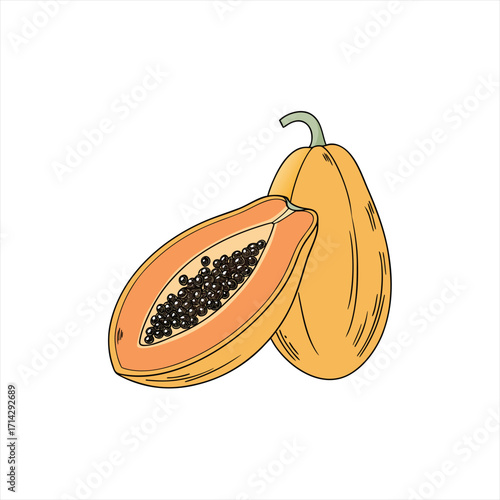 Illustration of a whole papaya and a half papaya with seeds