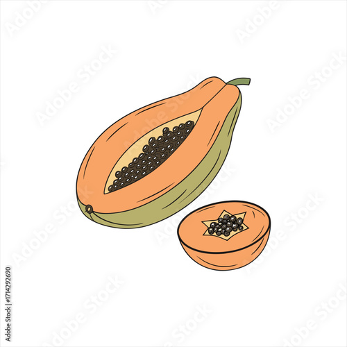 Illustration of a whole papaya cut in half with seeds and a slice