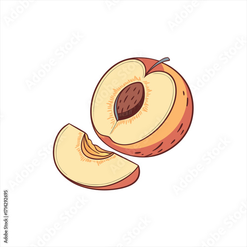 Illustration of a halved peach and a slice with its stone