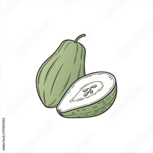 Hand drawn illustration of a whole and halved green chayote squash