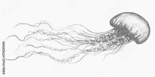 Floating jellyfish. Heavy ink stroke with visible sand grain, spray noise and faded threshold transition. Speckled surface.