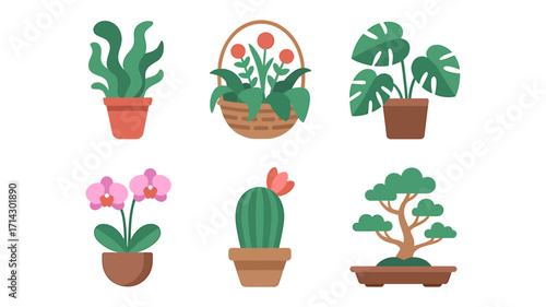 Houseplants and Indoor Potted Plants Collection