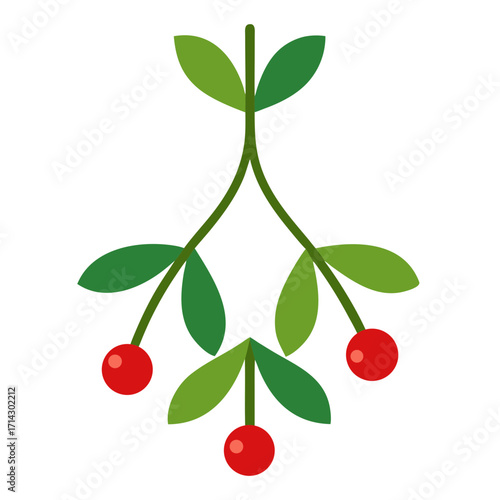 cherry tree branch