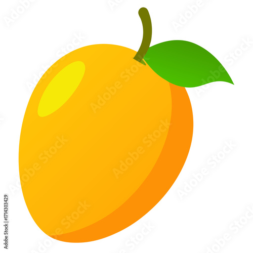 vector illustration of an orange fruit