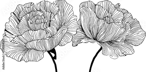 Black and white line art illustration of abstract floral design for art prints and decor
