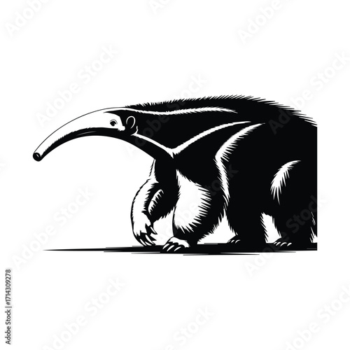 Elegant illustration of a giant anteater with its long snout and powerful claws