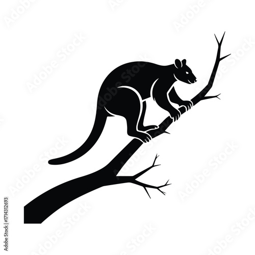 Elegant Tree Kangaroo Silhouette Illustration Isolated on White Background Climbing on a Branch