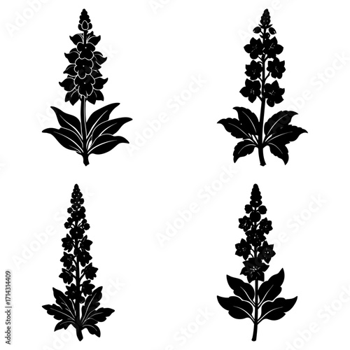 Four black floral arrangements featuring detailed leaves and flower spikes on a white background design art