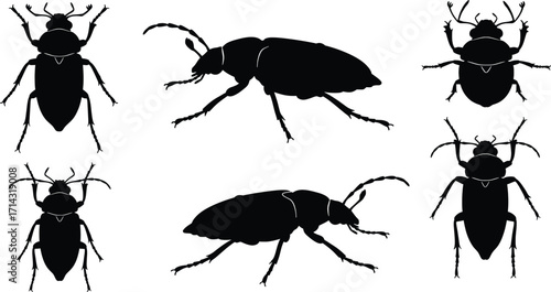 High-Resolution Black Silhouettes of Vectors in Nature's Design, Artistic Illustration, Detailed Perspective, and Unique Conceptualization