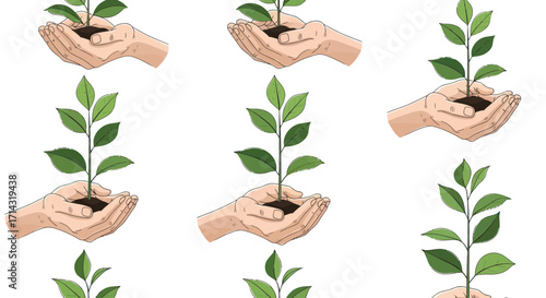 Human hands gently cradling small green plant seedlings with rich soil.
