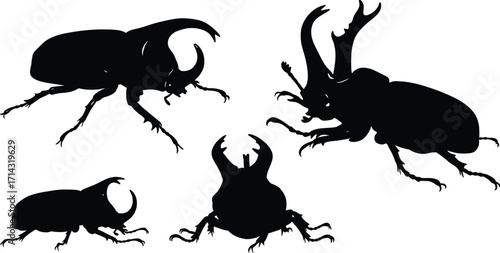 Vector Illustrations of Beetles in Black Silhouette, Nature Environment, High-Resolution Graphics, Artistic Perspective on Entomology